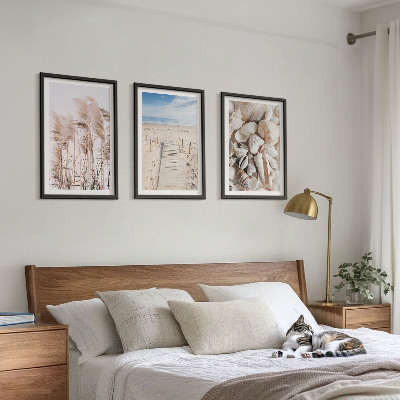 Three-piece wall art piece Beach shells sea grass