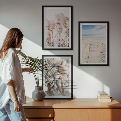 Three-piece wall art piece Beach shells sea grass