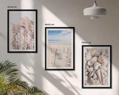 Three-piece wall art piece Beach shells sea grass