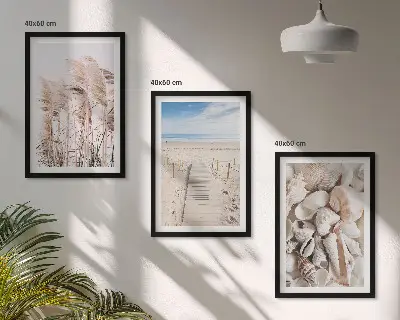 Three-piece wall art set featuring beach shells and sea grass