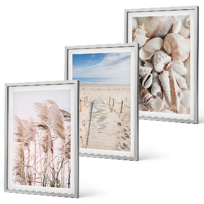 Three-piece wall art piece Beach shells sea grass