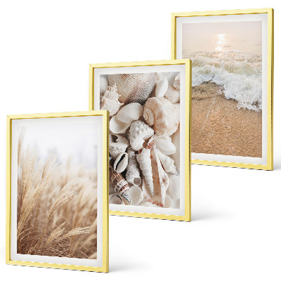 Wall art set Beach motifs, shells, waves