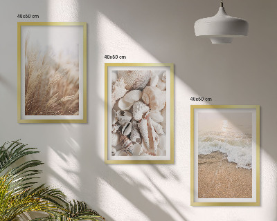 Wall art set Beach motifs, shells, waves