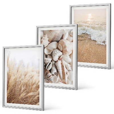 Wall art set Beach motifs, shells, waves
