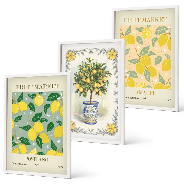 Three-piece wall art piece Citrus tree fruit Italy