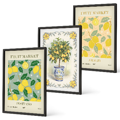 Three-piece wall art piece Citrus tree fruit Italy