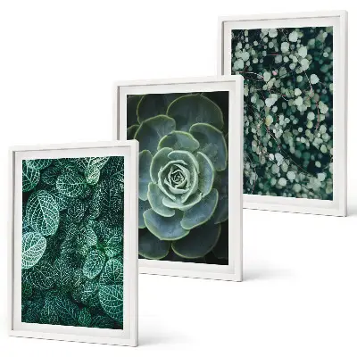 Succulent wall art set botanical print collection