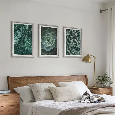 Succulent wall art set botanical print collection