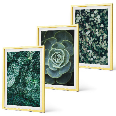 Wall art set Succulents