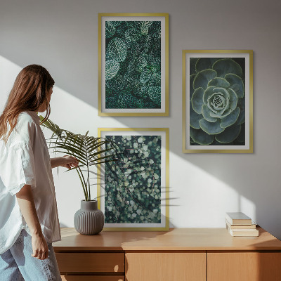 Wall art set Succulents