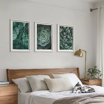 Succulent wall art set botanical print collection