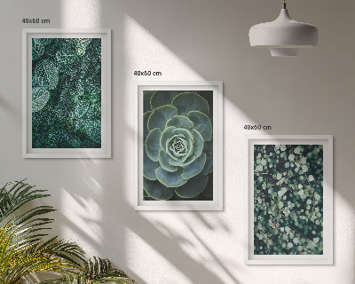 Wall art set Succulents