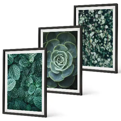 Succulent wall art set botanical print collection
