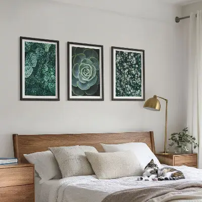 Succulent wall art set botanical print collection
