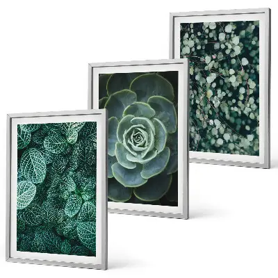 Succulent wall art set botanical print collection