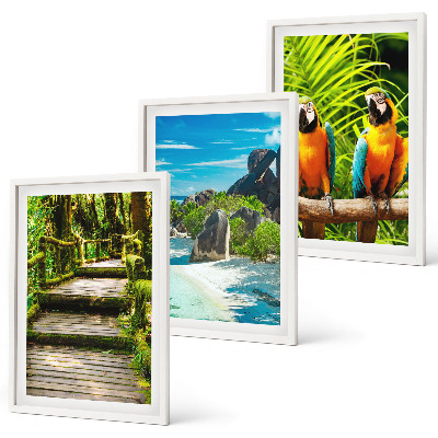 Wall art set Tropical forest parrot waterfall