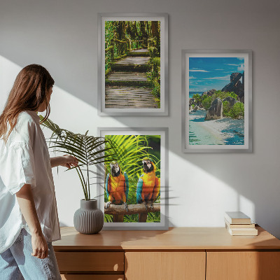 Wall art set Tropical forest parrot waterfall