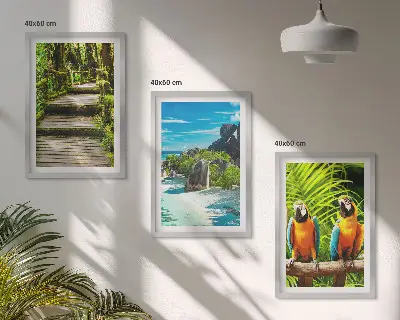 Wall art set tropical forest parrot and waterfall scene