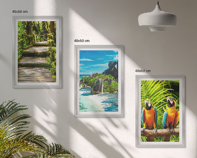 Wall art set Tropical forest parrot waterfall