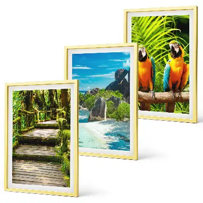 Wall art set tropical forest parrot and waterfall scene