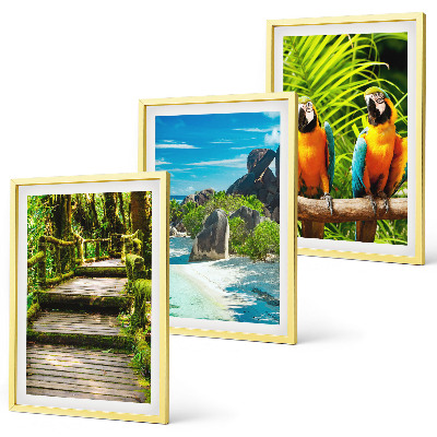 Wall art set Tropical forest parrot waterfall