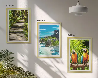 Wall art set tropical forest parrot and waterfall scene