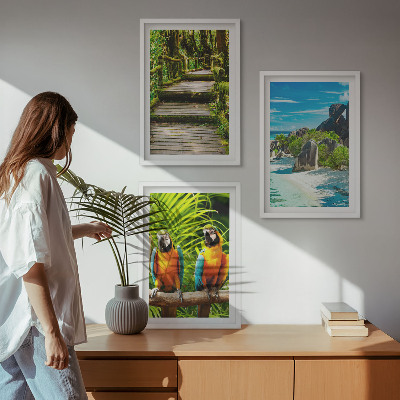 Wall art set Tropical forest parrot waterfall