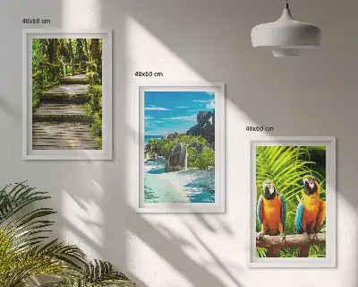 Wall art set tropical forest parrot and waterfall scene