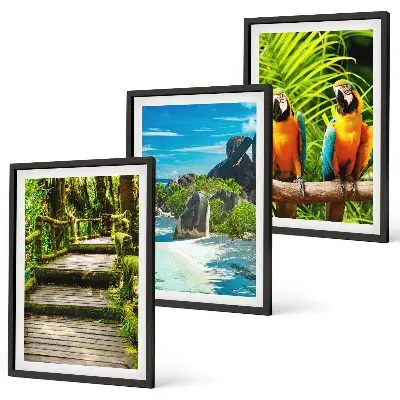 Wall art set tropical forest parrot and waterfall scene