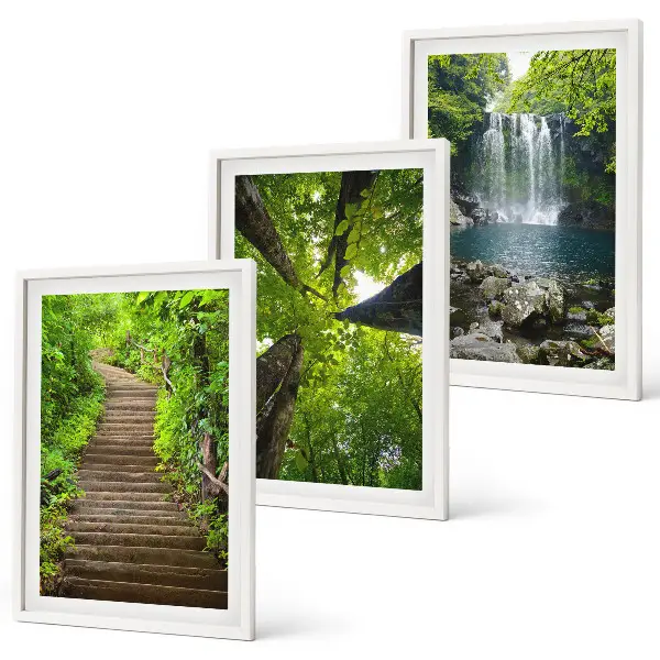 Set of 3 framed wall art pieces featuring a path through a forest with a waterfall and lush vegetation