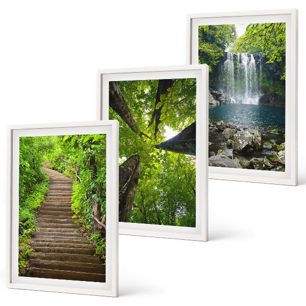 Set of 3 framed wall art pieces Path forest waterfall vegetation