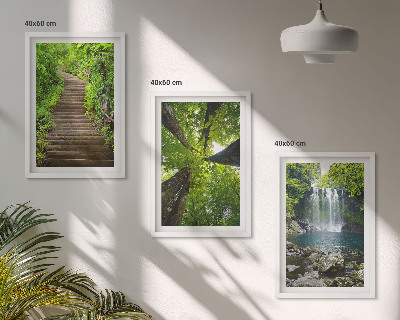 Set of 3 framed wall art pieces Path forest waterfall vegetation