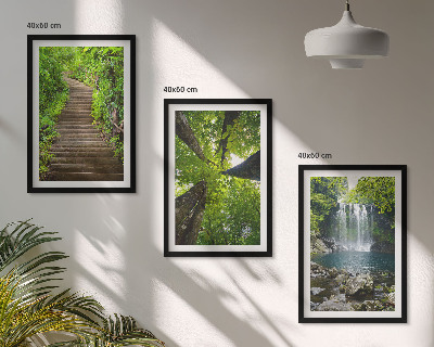 Set of 3 framed wall art pieces Path forest waterfall vegetation
