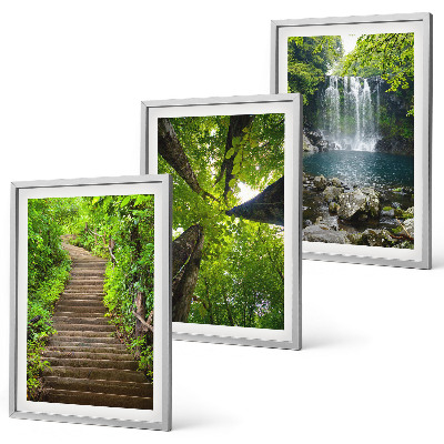 Set of 3 framed wall art pieces Path forest waterfall vegetation