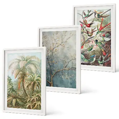 Wall art set featuring tropical plants and birds in nature