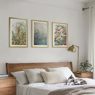 Wall art set featuring tropical plants and birds in nature