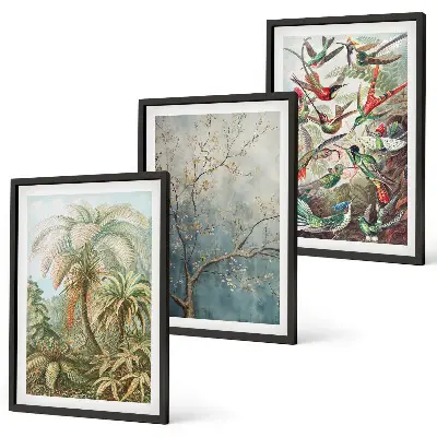 Wall art set featuring tropical plants and birds in nature