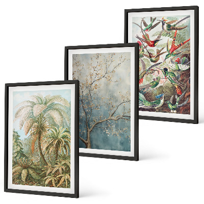 Wall art set Tropical plants birds nature
