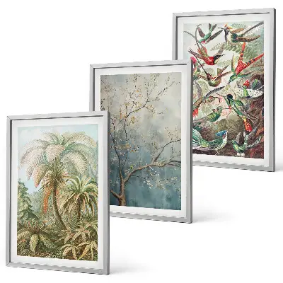 Wall art set featuring tropical plants and birds in nature