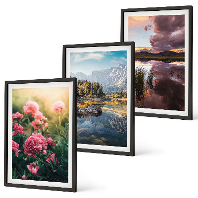 Wall art set Flowers garden mountains water