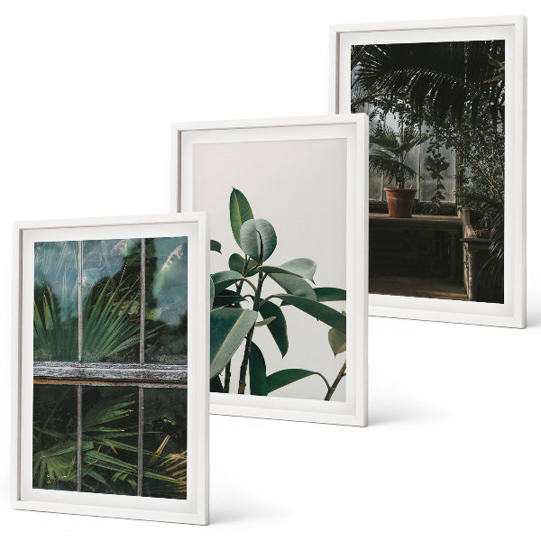 Three-piece wall art piece Green leaves on the window plant