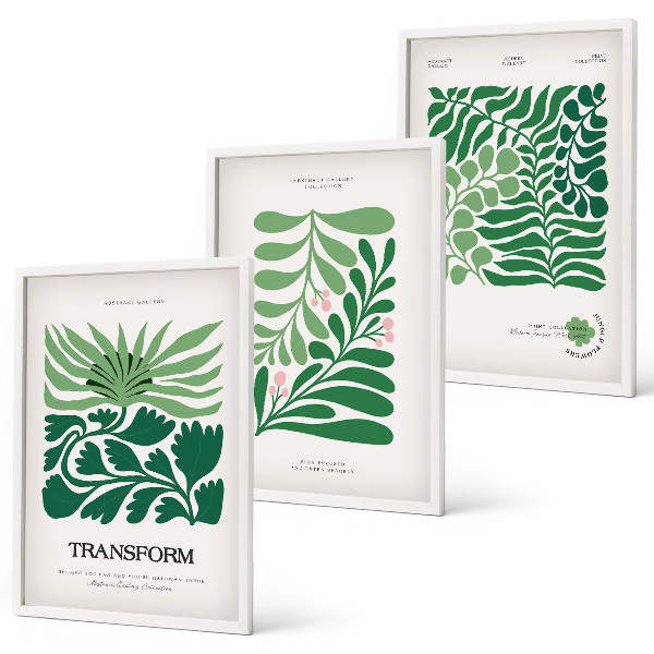 Set of 3 framed wall art pieces Green leaf plant shapes