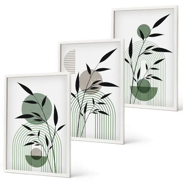 Boho plant compositions wall art set three-piece collection