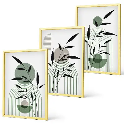 Boho plant compositions wall art set three-piece collection
