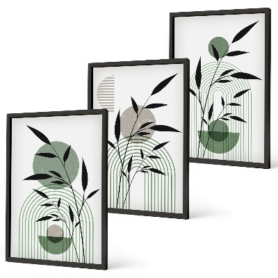 Three-piece wall art piece Boho plant compositions