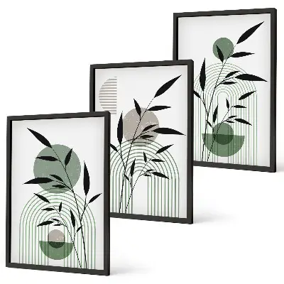 Boho plant compositions wall art set three-piece collection