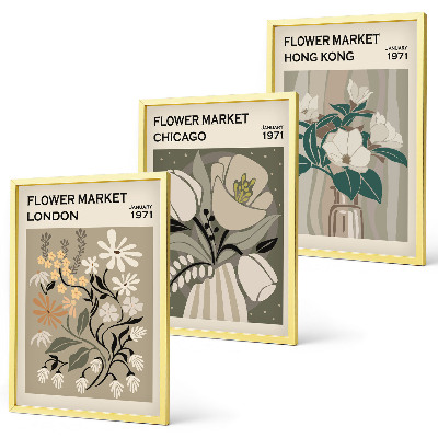 Set of 3 framed wall art pieces Flower Fairs London Chicago Hong Kong