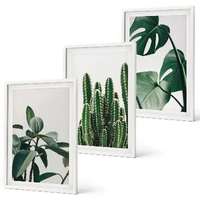 Tropical plants wall art set three-piece aesthetic canvas print