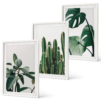 Three-piece wall art piece Tropical aesthetic plants