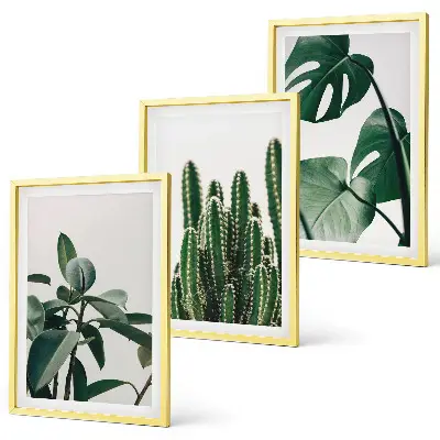 Tropical plants wall art set three-piece aesthetic canvas print